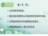 人教版七年级生物上册2.2.1《鱼》课件