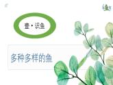 人教版七年级生物上册2.2.1《鱼》课件