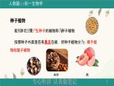人教版七年级生物上册第二节《种子植物》课件