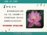 人教版七年级生物上册第二节《种子植物》课件