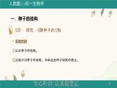 人教版七年级生物上册第二节《种子植物》课件