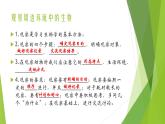 人教版七年级生物上册第一章认识生物第二章认识细胞复习课件
