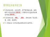 人教版七年级生物上册第一章认识生物第二章认识细胞复习课件