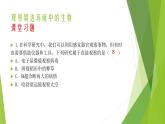 人教版七年级生物上册第一章认识生物第二章认识细胞复习课件