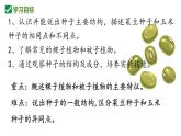 人教版生物七年级上册2.1.2《种子植物》课件