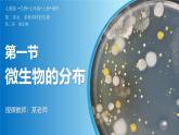 人教版生物七年级上册2.3.1《微生物的分布》（教学课件）