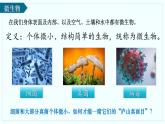 人教版生物七年级上册2.3.1《微生物的分布》（教学课件）