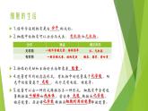 人教版生物七年级上册期中复习课件