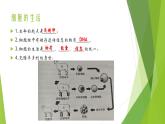 人教版生物七年级上册期中复习课件
