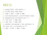 人教版生物七年级上册期中复习课件