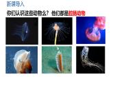 人教版生物八年级上册5.1.1《腔肠动物和扁形动物-腔肠动物》教学课件