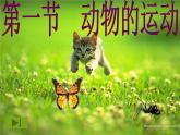 人教版生物八年级上册5.2.1《动物的运动》课件