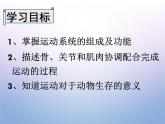人教版生物八年级上册5.2.1《动物的运动》课件