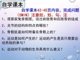人教版生物八年级上册5.2.1《动物的运动》课件