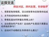 人教版生物八年级上册5.2.1《动物的运动》课件