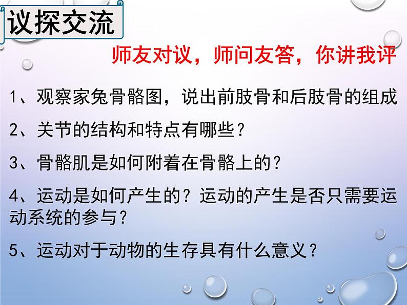 人教版生物八年级上册5.2.1《动物的运动》课件第4页