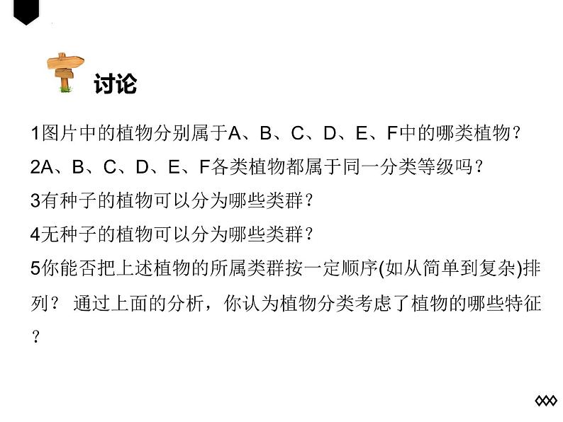 人教版生物八年级上册6.1.1《尝试对生物进行分类》课件第7页