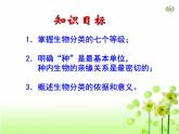 人教版生物八年级上册6.1.2《从种到界》课件