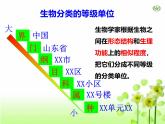 人教版生物八年级上册6.1.2《从种到界》课件