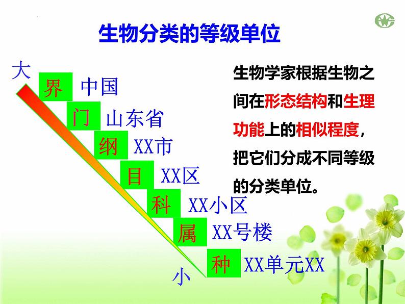 人教版生物八年级上册6.1.2《从种到界》课件第4页