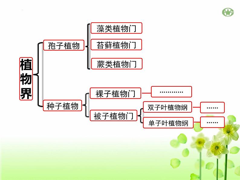 人教版生物八年级上册6.1.2《从种到界》课件第8页