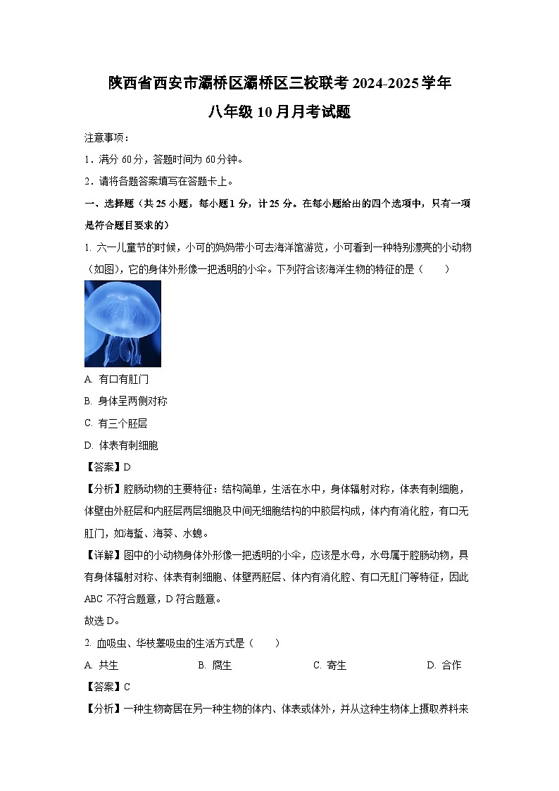 陕西省西安市灞桥区灞桥区三校联考2024-2025学年八年级上学期10月月考生物试卷(解析版)第1页