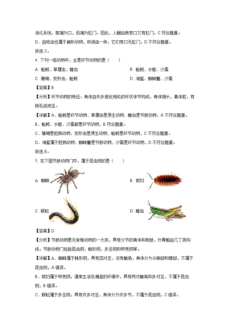 辽宁省沈阳市沈河区2024-2025学年八年级上学期10月月考生物试卷(解析版)第3页