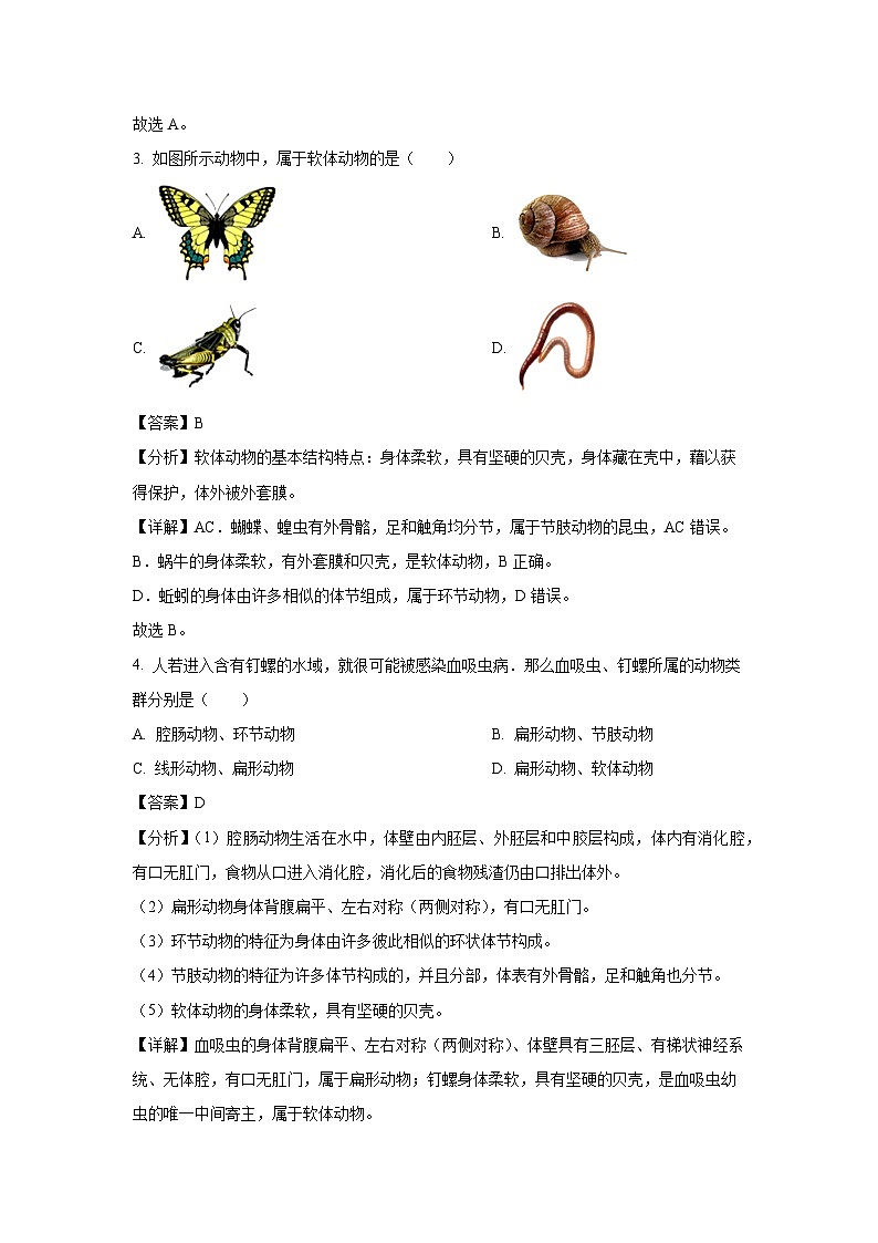 湖南省邵阳市邵东市2024-2025学年八年级上学期10月月考生物试卷(解析版)第2页