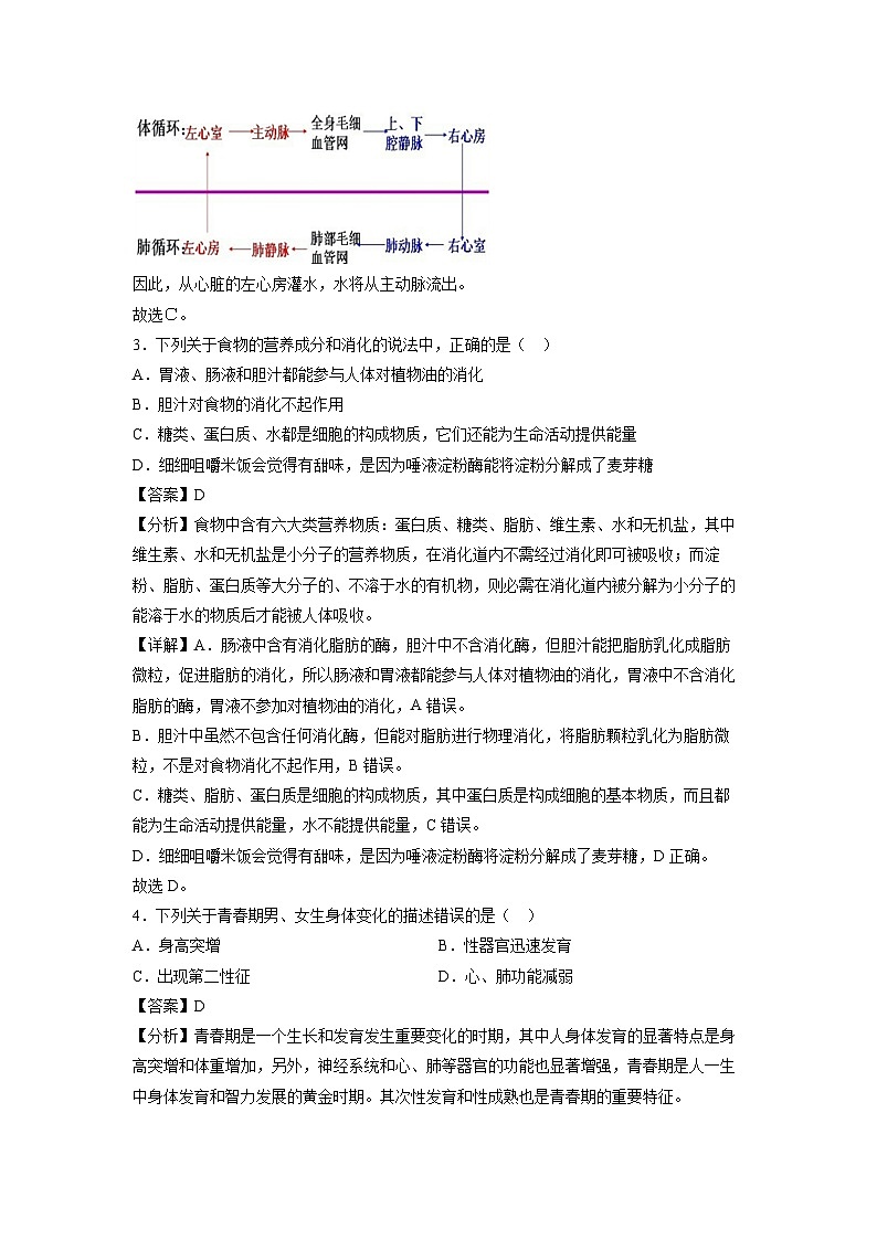 七年级下册期末模拟卷(山东专用)生物试卷(解析版)第2页