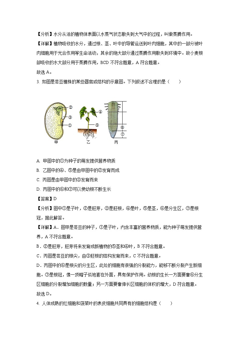 2024年辽宁省黑山县初中结业模拟考试(二)生物试卷(解析版)第2页