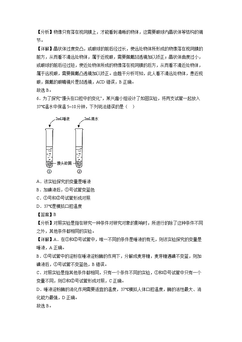 七年级下学期期末模拟卷02(广东专用)生物试卷(解析版)第3页