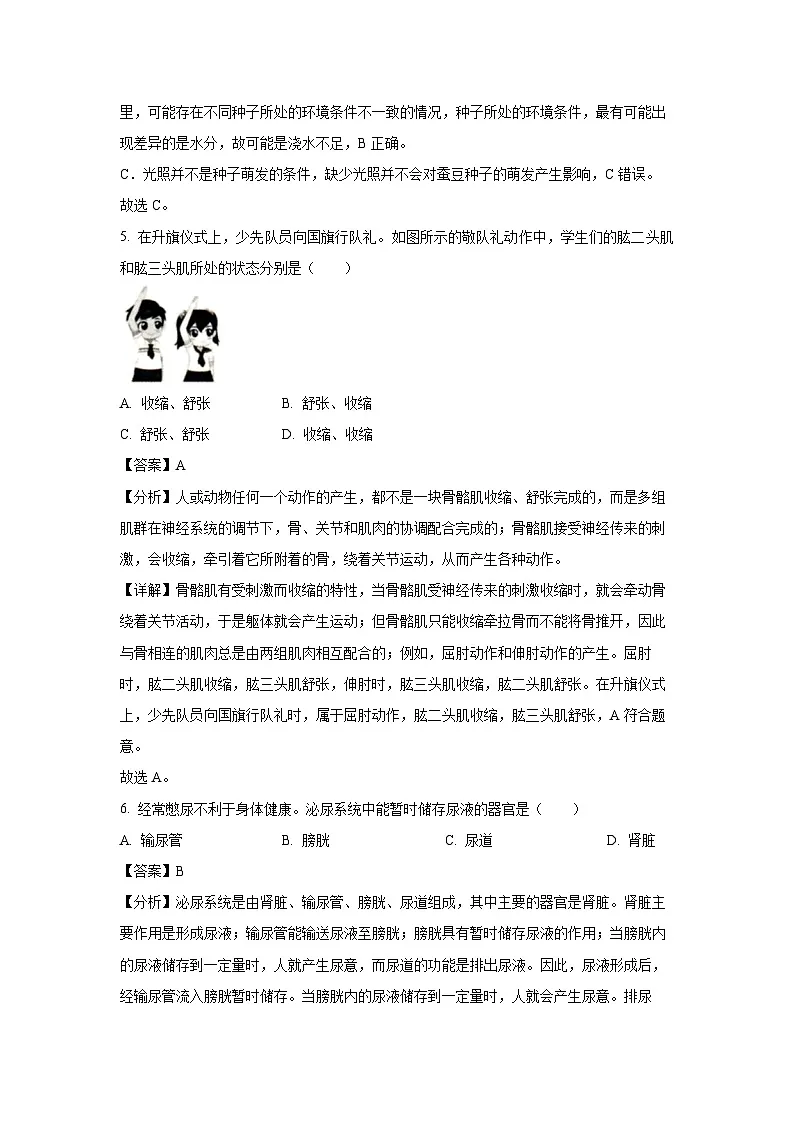 2024年广西梧州市八年级中考二模生物试卷(解析版)第3页