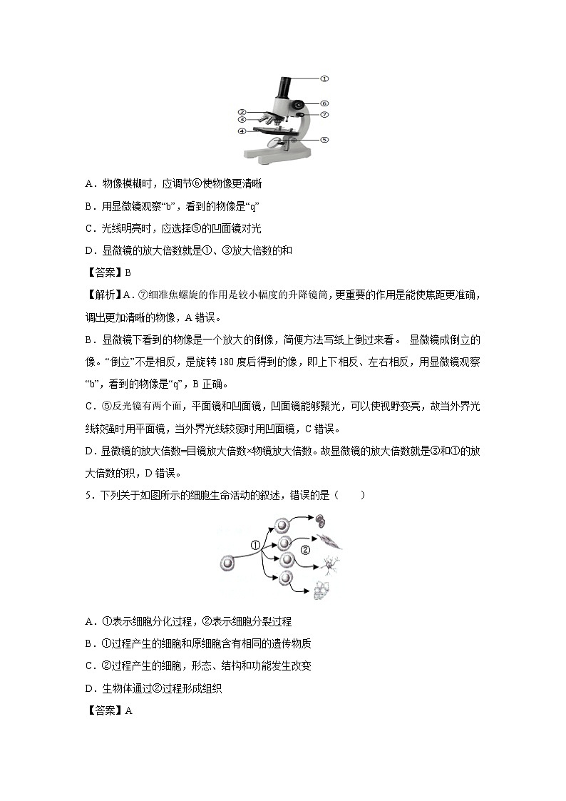 2024年 广州中考模拟测一生物试卷(解析版)第3页