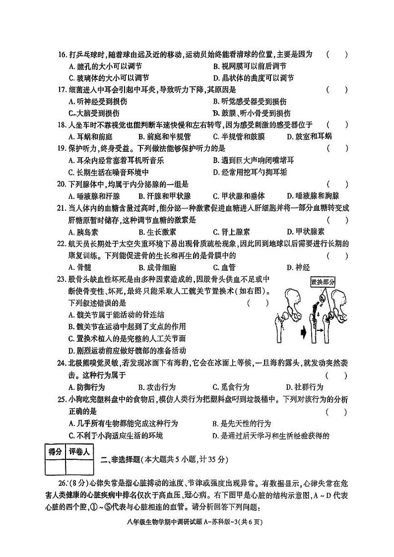 陕西省咸阳市淳化县多校2024-2025学年八年级上学期期中生物试题第3页