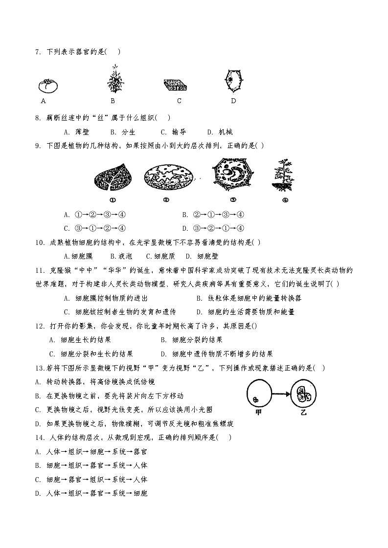 天津市红桥区2024-2025学年七年级上期中——生物试卷第2页