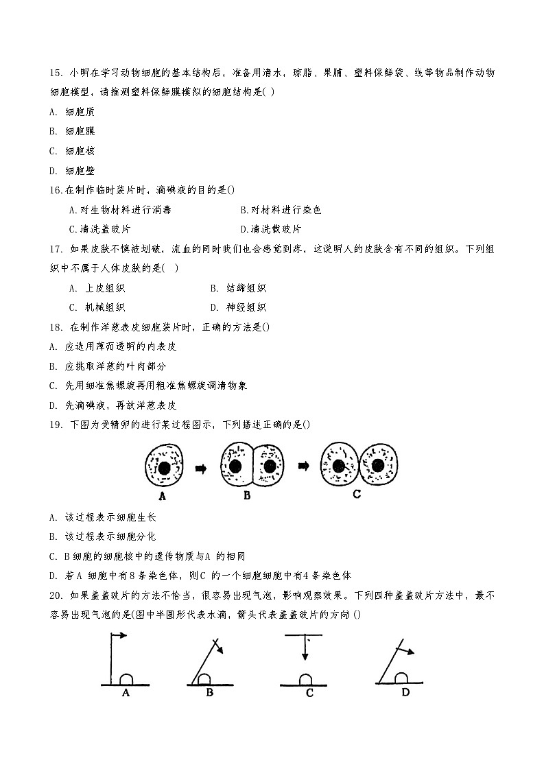 天津市红桥区2024-2025学年七年级上期中——生物试卷第3页