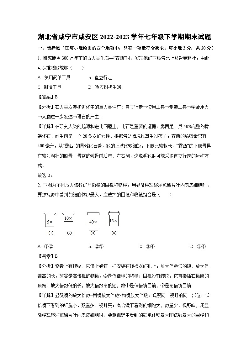 湖北省咸宁市咸安区2022-2023学年七年级下学期期末生物试卷(解析版)第1页