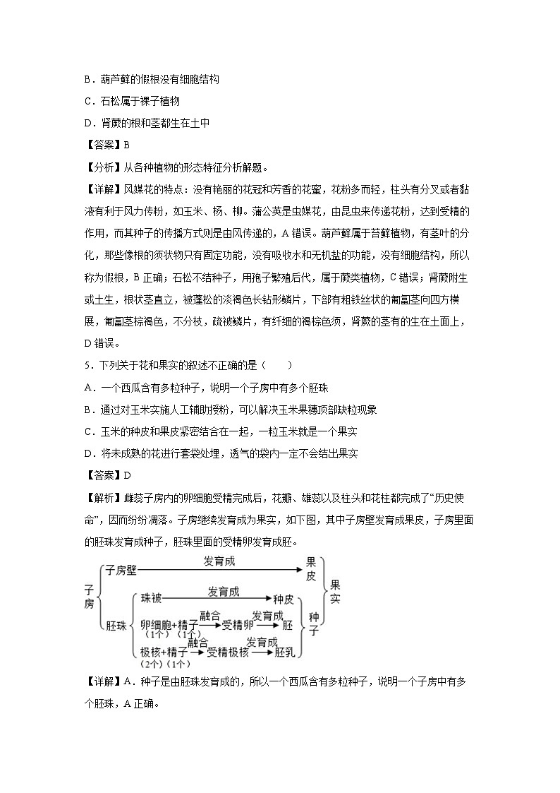卷05-2024年中考生物临考模拟满分卷(泰州卷)临考满分生物试卷(解析版)第3页