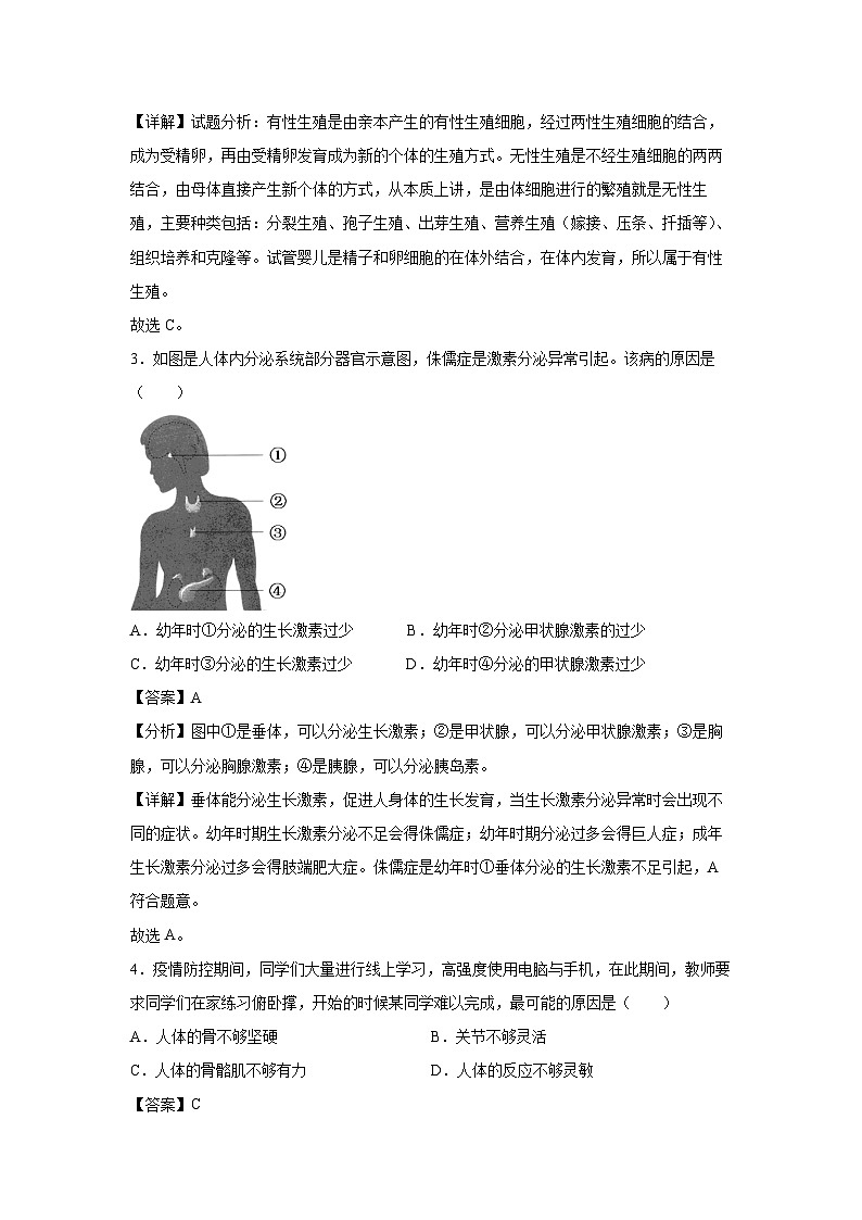 广西2024年中考生物临考模拟满分卷07生物试卷(解析版)02