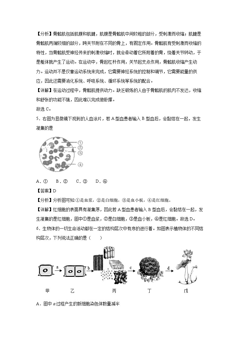 广西2024年中考生物临考模拟满分卷07生物试卷(解析版)03