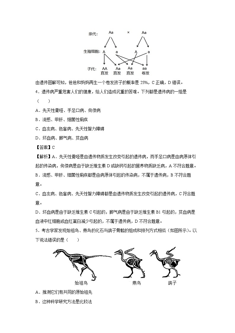 2024年深圳中考模拟测一生物试卷(解析版)第3页