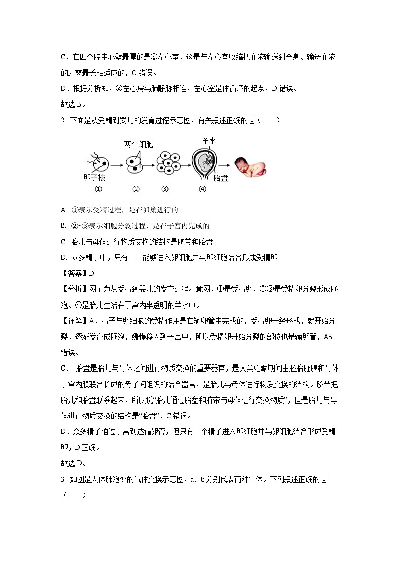 广东省梅州市兴宁市第一中学2023-2024学年七年级下学期第二次月考生物试卷(解析版)02