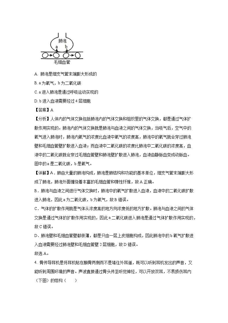 广东省梅州市兴宁市第一中学2023-2024学年七年级下学期第二次月考生物试卷(解析版)03