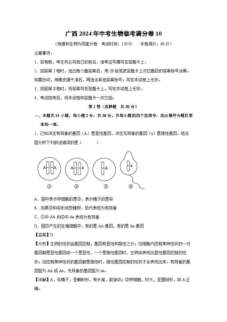 广西2024年中考生物临考模拟满分卷10生物试卷(解析版)01