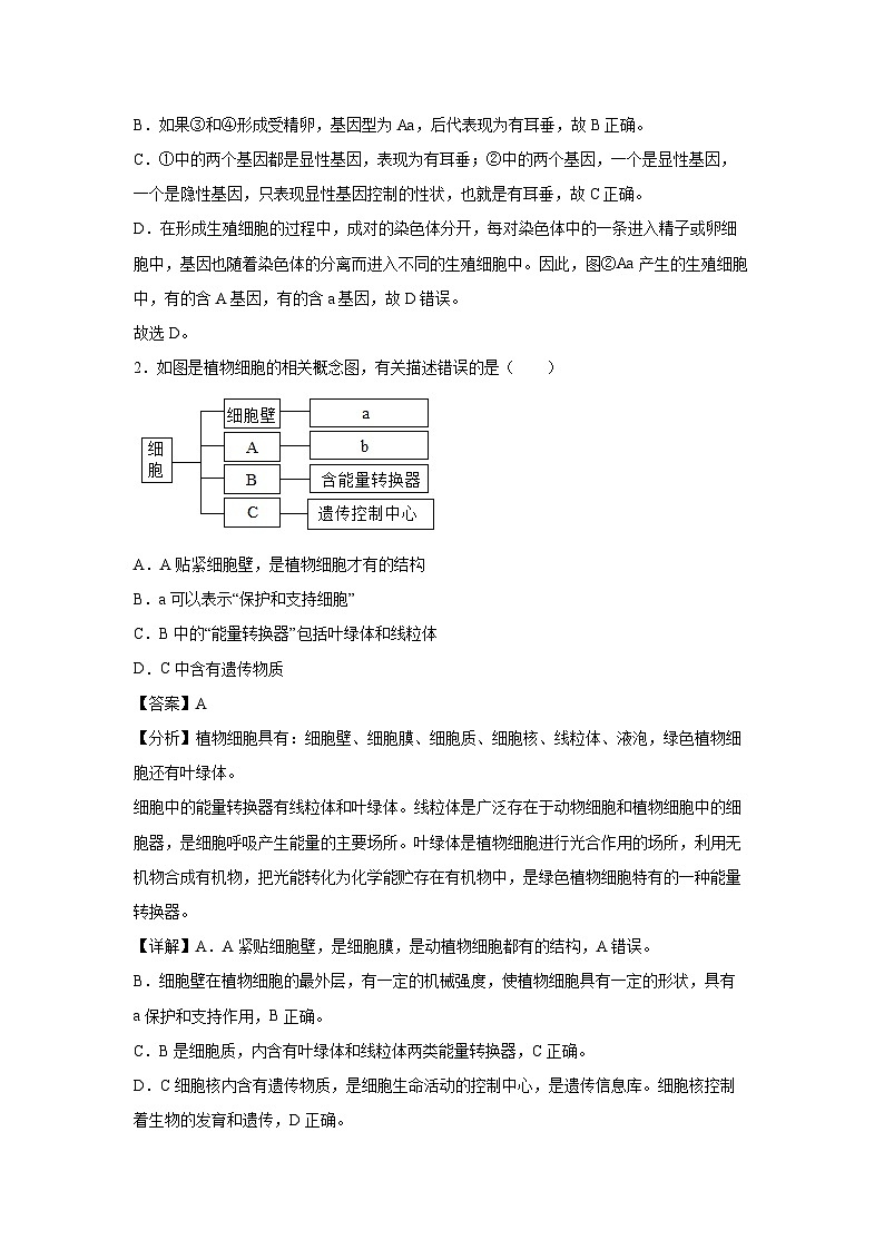 广西2024年中考生物临考模拟满分卷10生物试卷(解析版)02