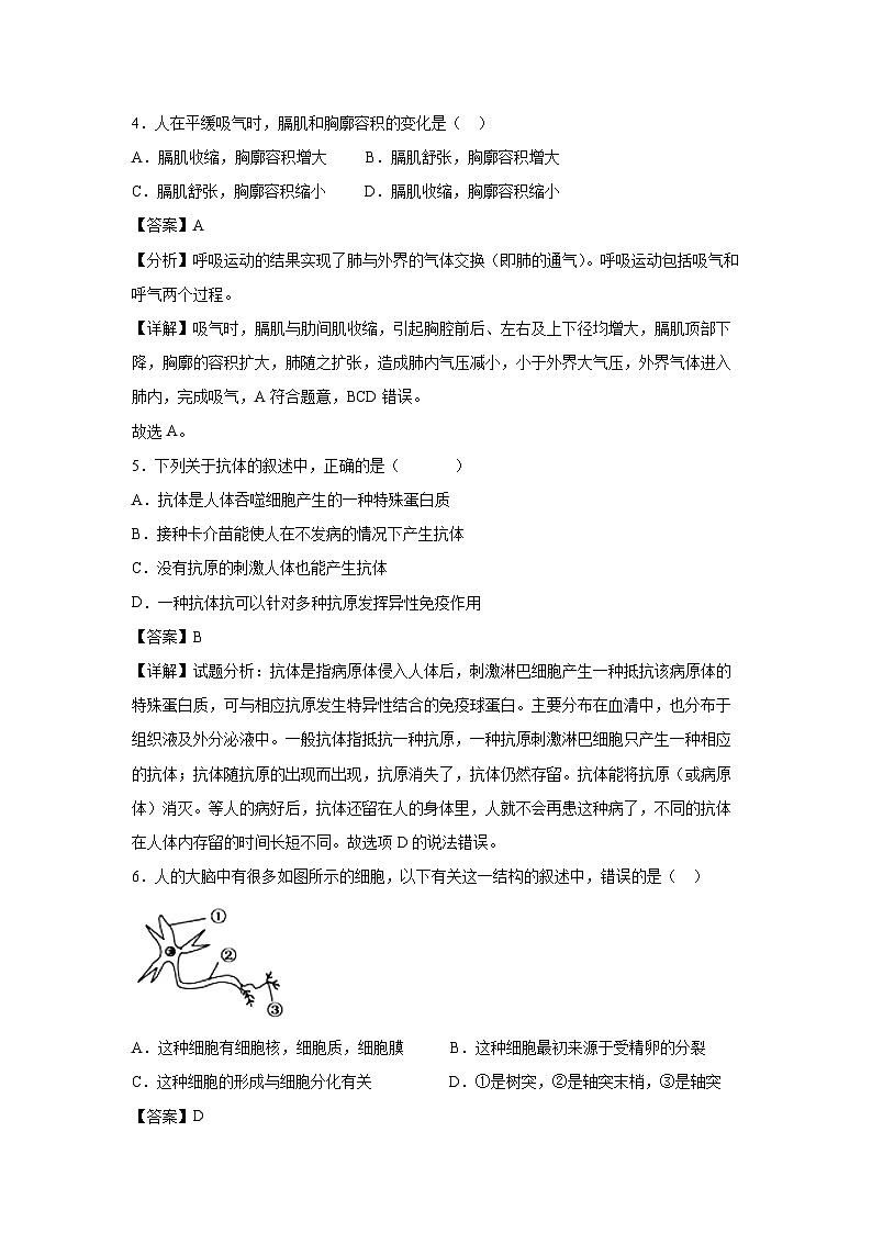 广西2024年中考生物临考模拟满分卷06生物试卷(解析版)03