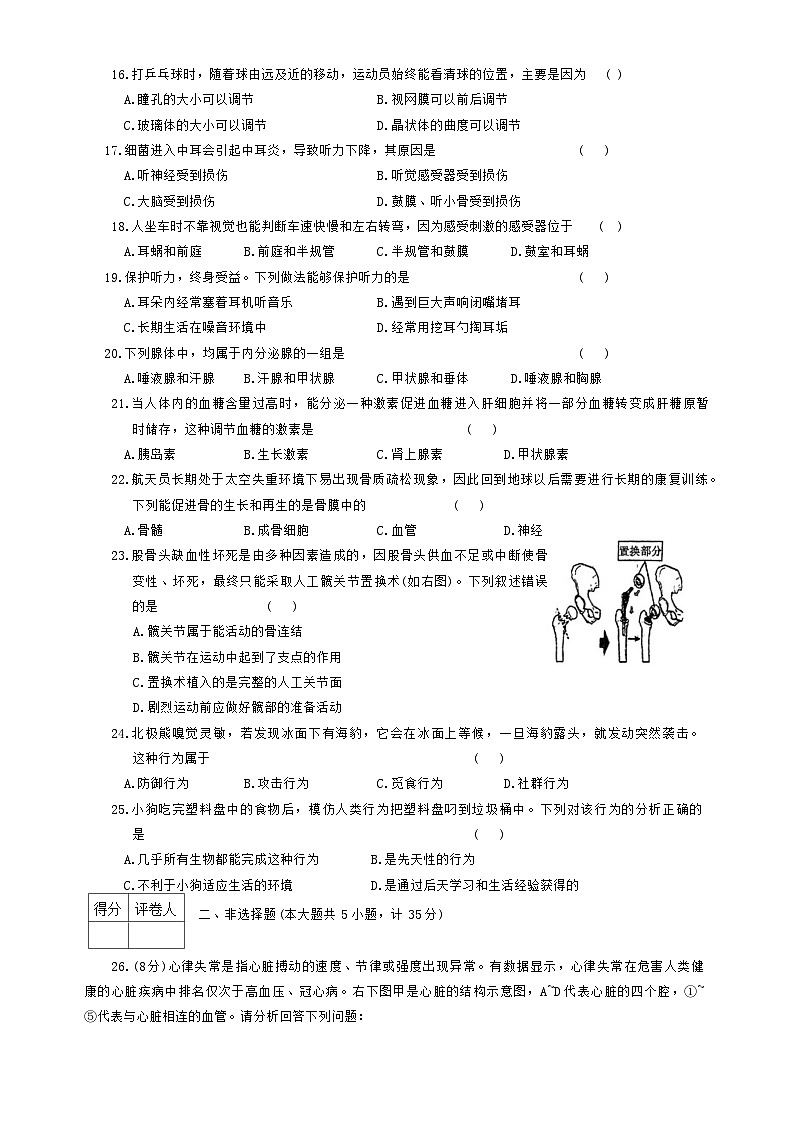 陕西省咸阳市淳化县多校2024-2025学年八年级上学期期中生物试题第3页