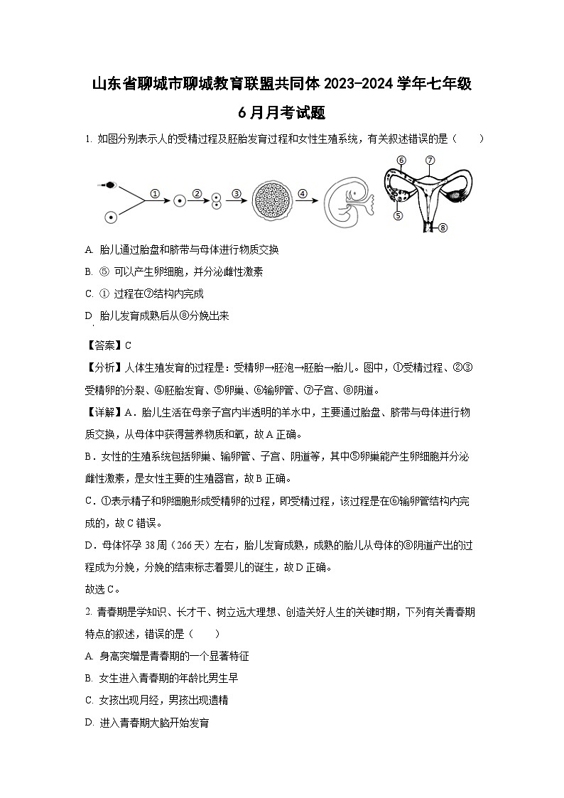 山东省聊城市聊城教育联盟共同体2023-2024学年七年级下学期6月月考生物试卷（解析版）第1页