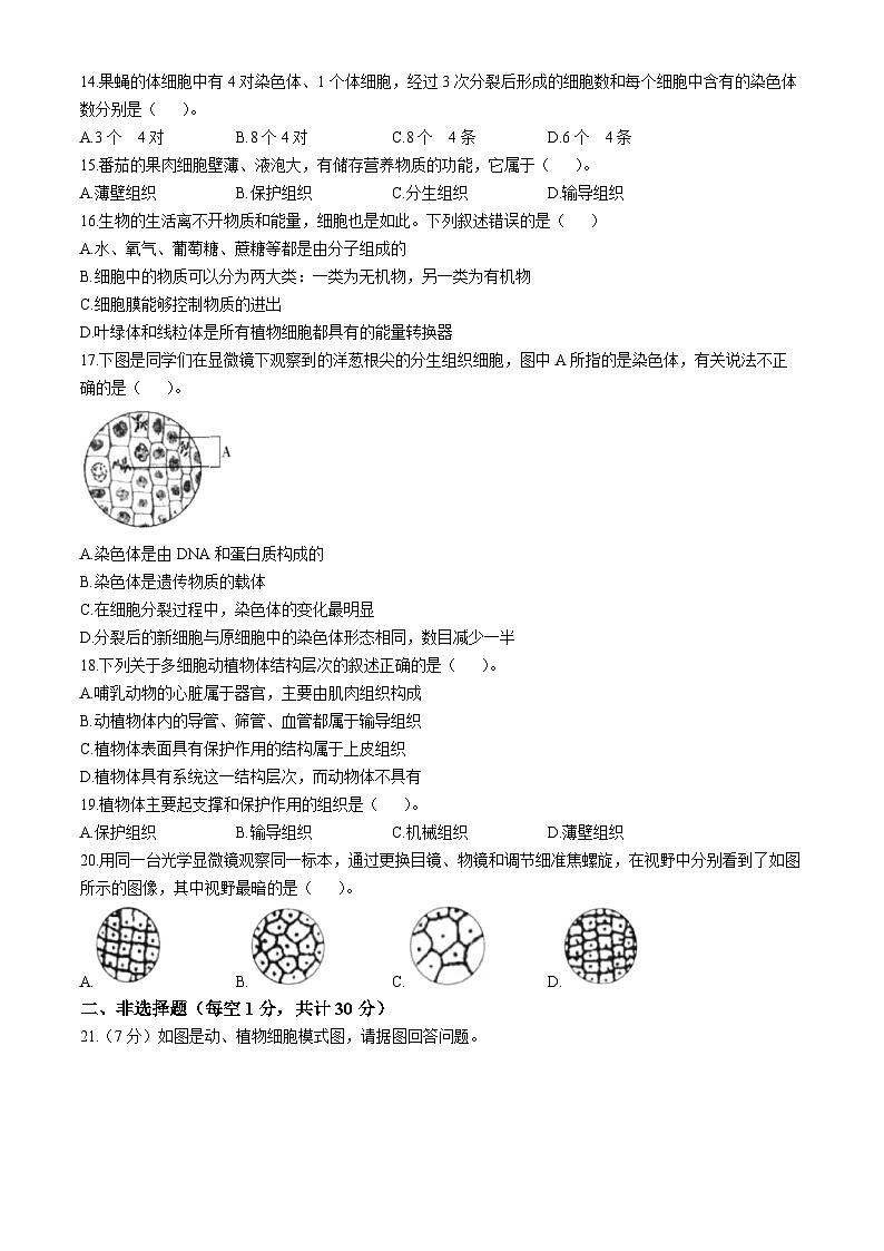 吉林省四平市铁西区2024-2025学年七年级上学期期中生物学试题第3页