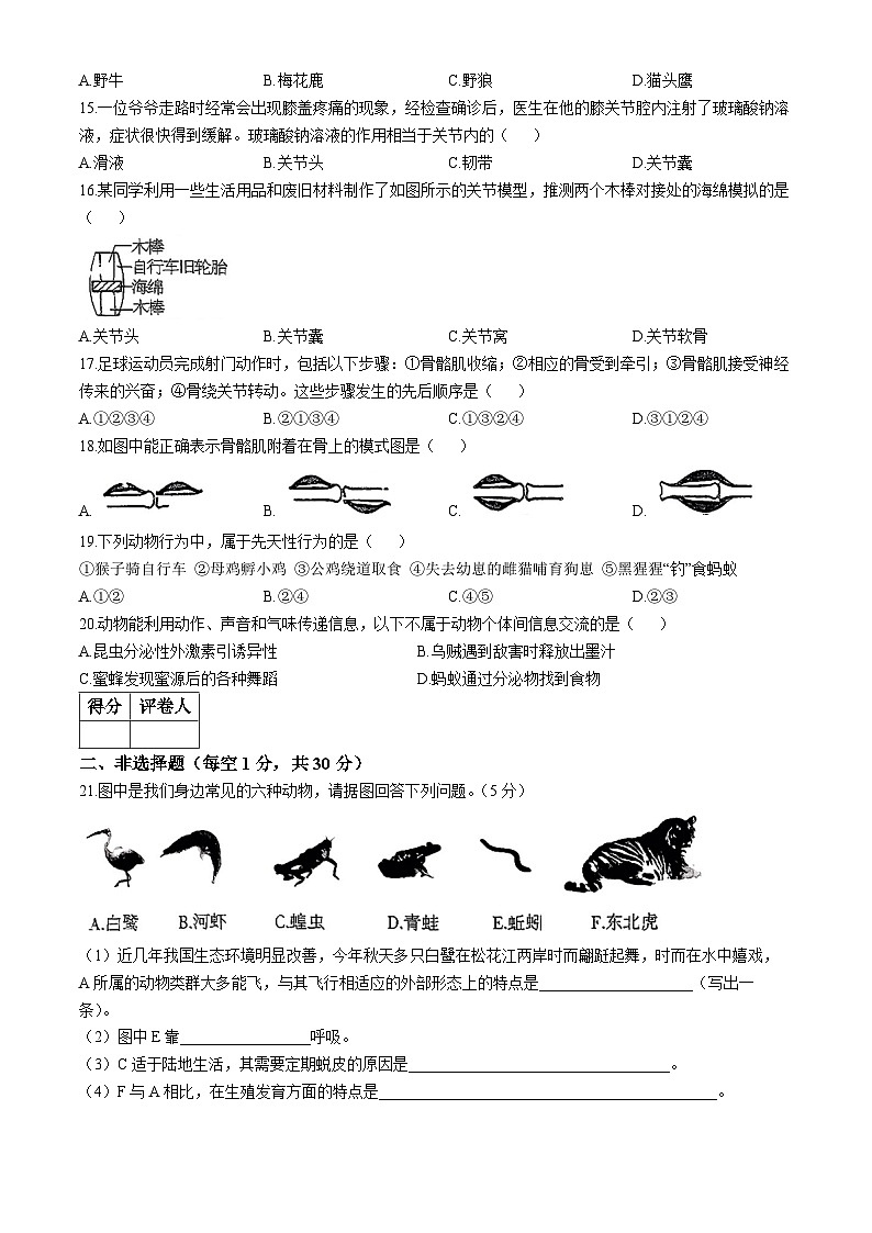 吉林省名校调研系列试卷2024-2025学年八年级上学期期中生物学试题第3页